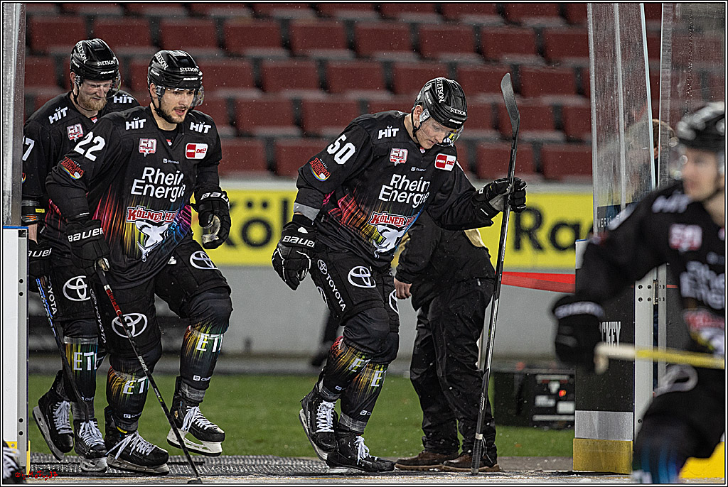 PENNY DEL;  Kölner Haie - Fischtown Pinguins; Köln, 22.12.2022